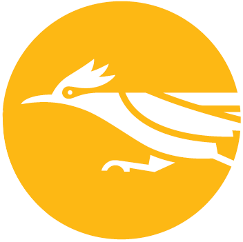 Roadrunner icon